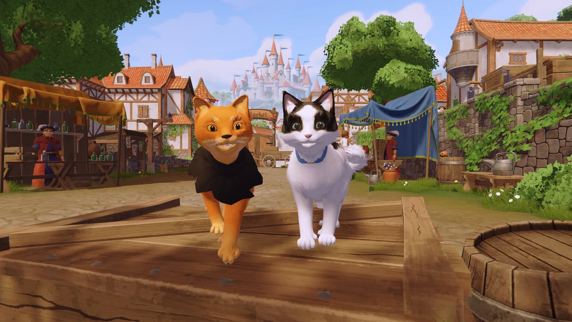 Both cats running together through a bustling town market