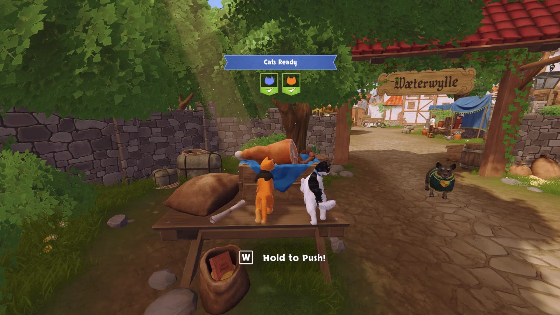 Co-op puzzle: cats push an object together near Waterwylle village