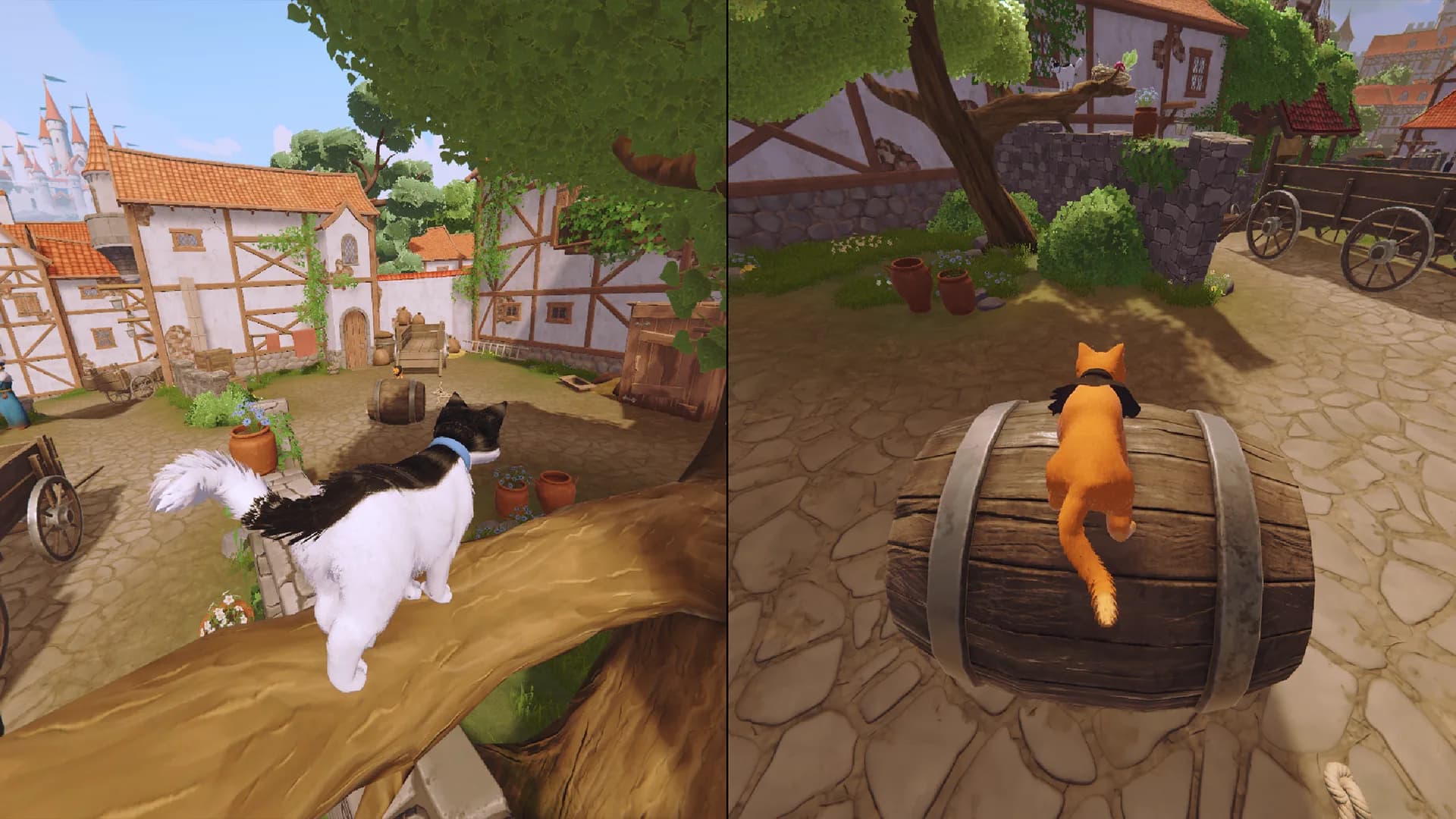 Split-screen: cats explore rooftops and roll barrels in the village